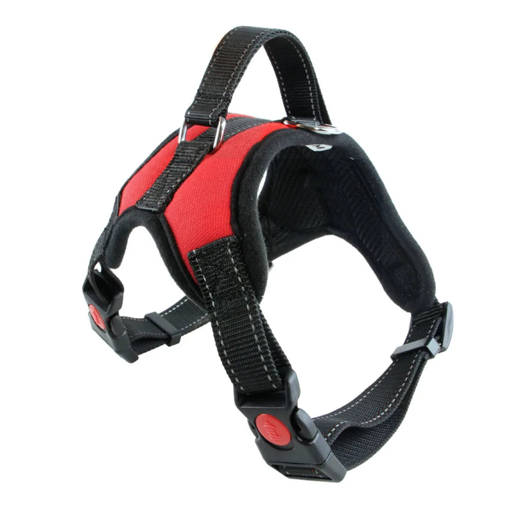 Dog Harness