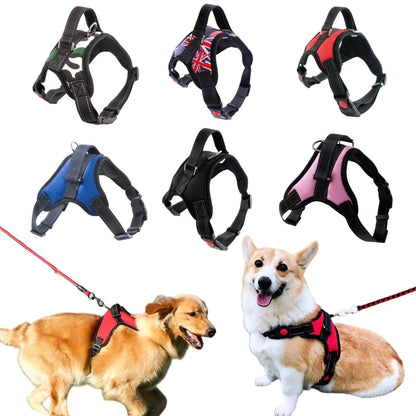 Dog Harness