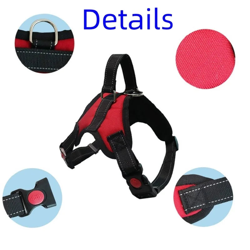 Dog Harness