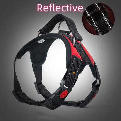 Dog Harness
